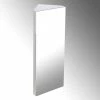 Outlet ⭐ Renovators Supply Manufacturing Corner Wall Mount Medicine Cabinet Stainless Steel Bathroom Cabinet With Mirror ✨